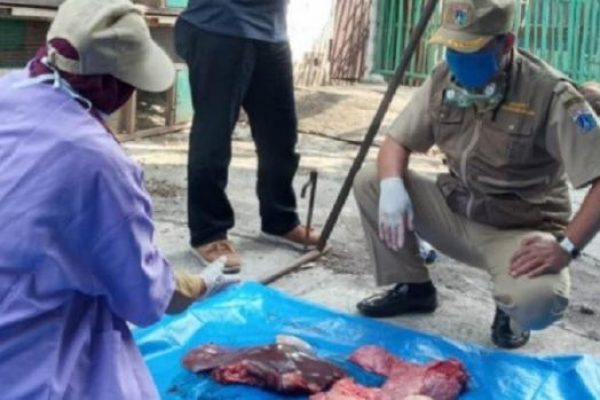 22 Kg Organ Hewan Kurban Tak Layak Konsumsi di Jakarta Pusat Dimusnahkan