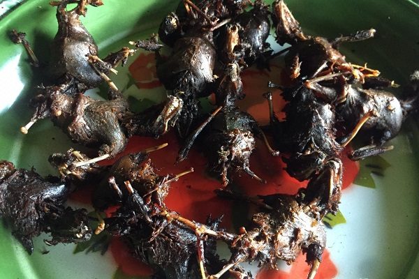 Sensasi Kuliner Ekstrem Kelelawar Bacem 