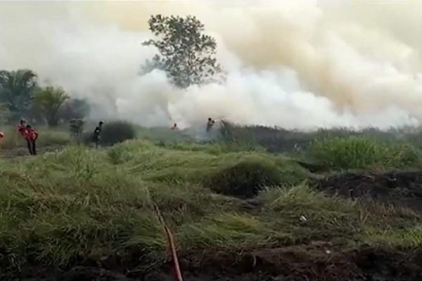 Lahan Gambut Warga Kotawaringin Barat Terbakar, Petugas Kesulitan Padamkan Api