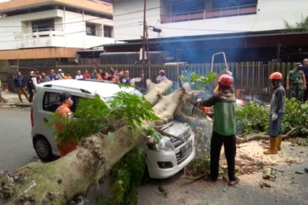 Bogor Dilanda Angin Kencang, 4 Pohon Tumbang Salah Satunya Timpa Mobil