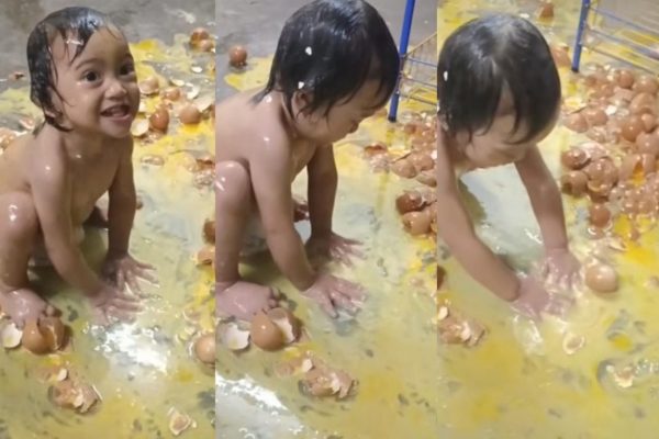 Video Bocah Berlumuran Telur, 100 Butir Pecah