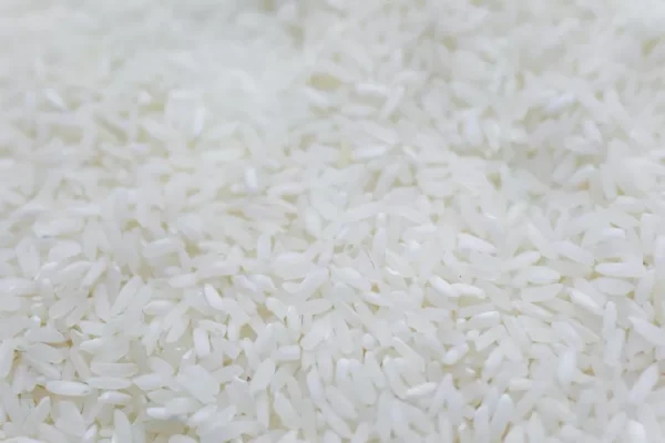 3 Cara Ampuh Mengatasi Masalah Kutu Beras