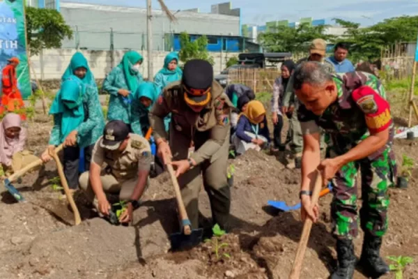 Lahan Pemprov DKI di Kalideres Ditanami 65 Bibit Cabai