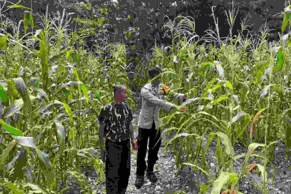 Tokoh Masyarakat Apresiasi Polres Kepulauan Seribu atas Program Ketahanan Pangan di Pulau Panggang