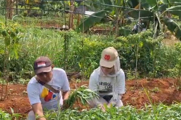 Pastikan Implementasi Astacita di Depok Berkualitas, Hj. Yeti Wulandari Pantau Langsung Lokasi Pertanian