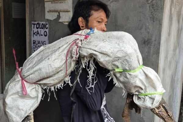 Viral CCTV Pria Panggul Karung di Tambora Jakarta Barat, Polisi Tegaskan Isinya Biawak Bukan Jenazah