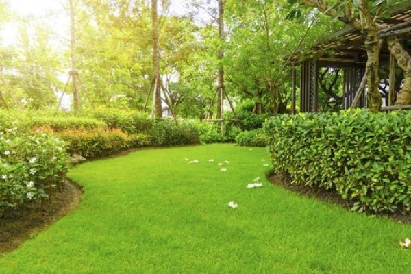 Viral Sejoli Diduga Mesum di Taman Layang Ciracas Siang Bolong, Satpol PP Perketat Penjagaan
