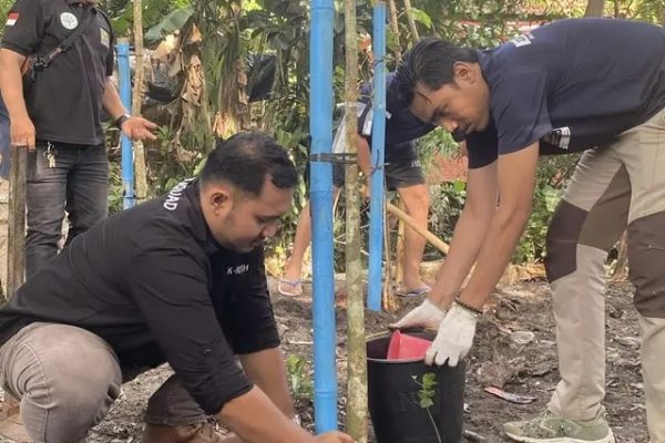 TPS Liar Disulap Jadi Taman, DLHK dan KNPI Depok Tanam Tabebuya di Bukit Cengkeh