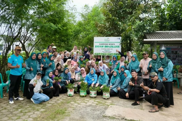 Warga Pengasinan Manfaatkan Galon Bekas untuk Budidaya Bayam Brazil